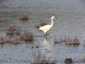 20131227_1_web
