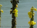 s1260089_web
