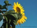 2013-mecpom-6_web