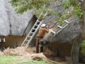 Suedafrika 2019