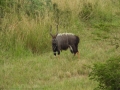Suedafrika 2019
