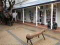 Suedafrika 2019