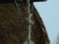 S1520020_web